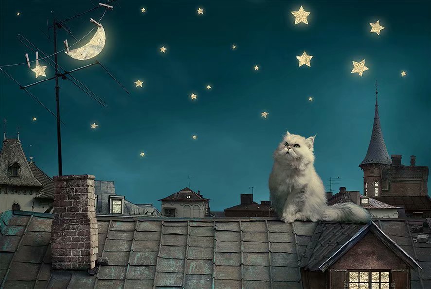 Fairy Tale White Cat on Roof 1000 Pieces Jigsaw Puzzles