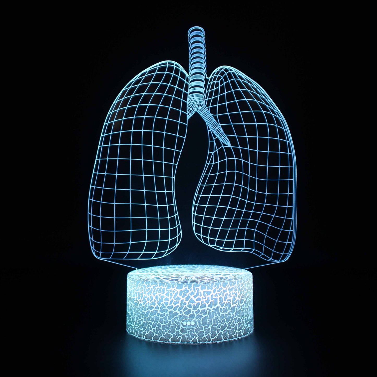 Lung 3D Illusion Look Night Light