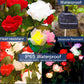 Rose Flower Solar Lights Garden Stake - 2 Pack